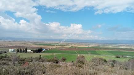 Çanakkale Gelibolu Kavakköyde Satılık Lavanta Tarlası 8