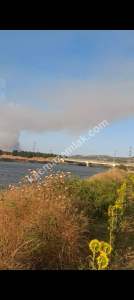 Ç.kale Gelibolu Kavakköy Nehirden--Denize 15 Dönüm 1