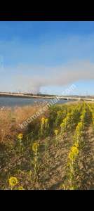 Ç.kale Gelibolu Kavakköy Nehirden--Denize 15 Dönüm 6