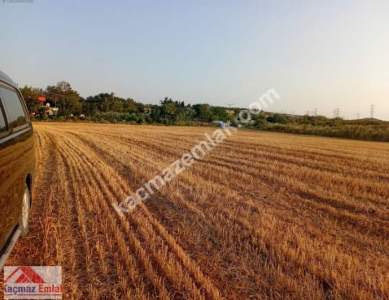 Gelibolu Kavak Köy Nehire Ve Köye Sıfır 40 Dönüm 12