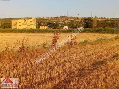 Gelibolu Kavak Köy Nehire Ve Köye Sıfır 40 Dönüm 9