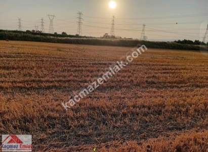 Gelibolu Kavak Köy Nehire Ve Köye Sıfır 40 Dönüm 10