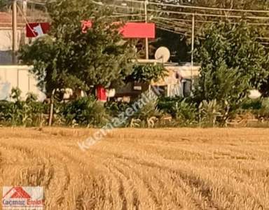 Gelibolu Kavak Köy Nehire Ve Köye Sıfır 40 Dönüm 6