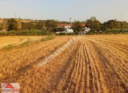 Gelibolu Kavak Köy Nehire Ve Köye Sıfır 40 Dönüm 8