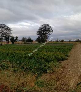 Gelibolu Sütlüce Boğaz Ve Köprü Manzaralı İmara Yakın 3