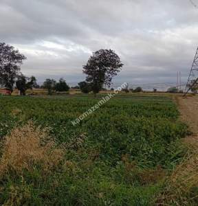 Gelibolu Sütlüce Boğaz Ve Köprü Manzaralı İmara Yakın 4