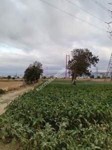 Gelibolu Sütlüce Boğaz Ve Köprü Manzaralı İmara Yakın 7