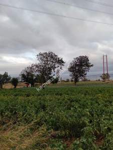 Gelibolu Sütlüce Boğaz Ve Köprü Manzaralı İmara Yakın 6
