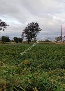 Gelibolu Sütlüce Boğaz Ve Köprü Manzaralı İmara Yakın 2