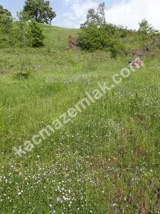 Lapseki İlçe Yenice Köyü Satılık Deniz Manzaralı Arazi 4