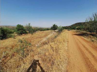 Denizli Çal Akkentte Satılık Tarla