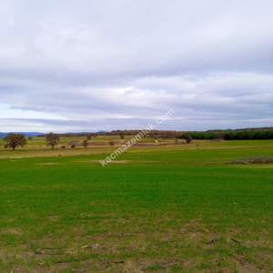 Enez Gülçavuş'da 'Kaçmaz Fırsat' Kelepir 11.874 M² S 36