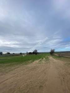 Enez Gülçavuş'da 'Kaçmaz Fırsat' Kelepir 11.874 M² S 11