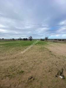 Enez Gülçavuş'da 'Kaçmaz Fırsat' Kelepir 11.874 M² S 24