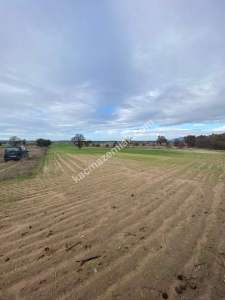 Enez Gülçavuş'da 'Kaçmaz Fırsat' Kelepir 11.874 M² S 22