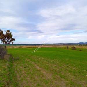 Enez Gülçavuş'da 'Kaçmaz Fırsat' Kelepir 11.874 M² S 32