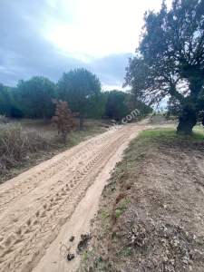 Enez Gülçavuş'da 'Kaçmaz Fırsat' Kelepir 11.874 M² S 19