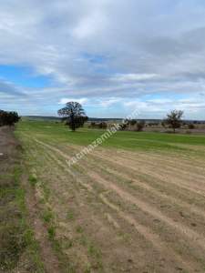 Enez Gülçavuş'da 'Kaçmaz Fırsat' Kelepir 11.874 M² S 4