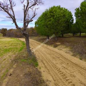 Enez Gülçavuş'da 'Kaçmaz Fırsat' Kelepir 11.874 M² S 35