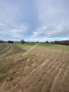 Enez Gülçavuş'da 'Kaçmaz Fırsat' Kelepir 11.874 M² S 29