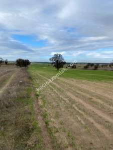 Enez Gülçavuş'da 'Kaçmaz Fırsat' Kelepir 11.874 M² S 34