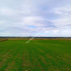 Enez Gülçavuş'da 'Kaçmaz Fırsat' Kelepir 11.874 M² S 26