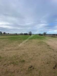 Enez Gülçavuş'da 'Kaçmaz Fırsat' Kelepir 11.874 M² S 10