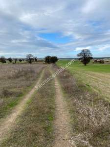 Enez Gülçavuş'da 'Kaçmaz Fırsat' Kelepir 11.874 M² S 31