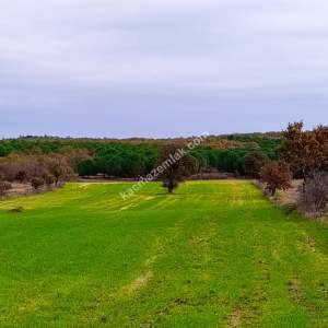 Enez Gülçavuş'da 'Kaçmaz Fırsat' Kelepir 11.874 M² S 5