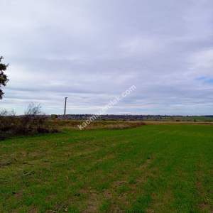 Enez Gülçavuş'da 'Kaçmaz Fırsat' Kelepir 11.874 M² S 37