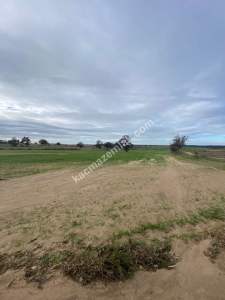 Enez Gülçavuş'Da 'Kaçmaz Fırsat' Kelepir 11.874 M² S