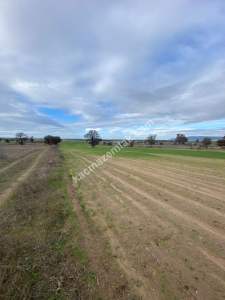 Enez Gülçavuş'da 'Kaçmaz Fırsat' Kelepir 11.874 M² S 15