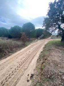 Enez Gülçavuş'da 'Kaçmaz Fırsat' Kelepir 11.874 M² S 38