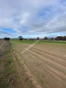 Enez Gülçavuş'da 'Kaçmaz Fırsat' Kelepir 11.874 M² S 3