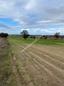 Enez Gülçavuş'da 'Kaçmaz Fırsat' Kelepir 11.874 M² S 20