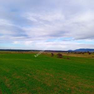 Enez Gülçavuş'da 'Kaçmaz Fırsat' Kelepir 11.874 M² S 25