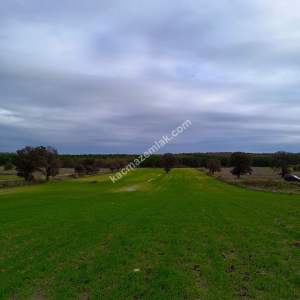 Enez Gülçavuş'da 'Kaçmaz Fırsat' Kelepir 11.874 M² S 23