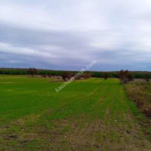 Enez Gülçavuş'da 'Kaçmaz Fırsat' Kelepir 11.874 M² S 8