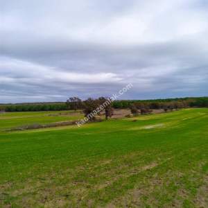 Enez Gülçavuş'da 'Kaçmaz Fırsat' Kelepir 11.874 M² S 30