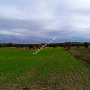 Enez Gülçavuş'da 'Kaçmaz Fırsat' Kelepir 11.874 M² S 7