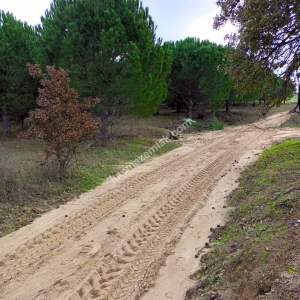 Enez Gülçavuş'da 'Kaçmaz Fırsat' Kelepir 11.874 M² S 33