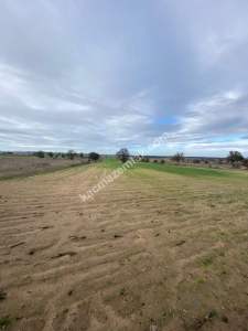 Enez Gülçavuş'da 'Kaçmaz Fırsat' Kelepir 11.874 M² S 27