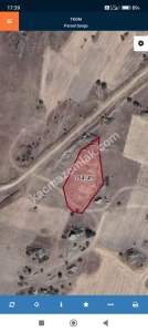 Edirne Lalapaşa Taşlımüsellim Köyünde Satılık Tarla 1