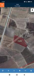 Edirne Lalapaşa Taşlımüsellim Köyünde Satılık Tarla 2