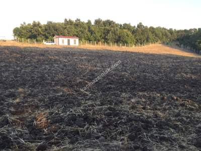 Edirne Meriç Küçükdoğanca'da Satılık Çiftlik 4