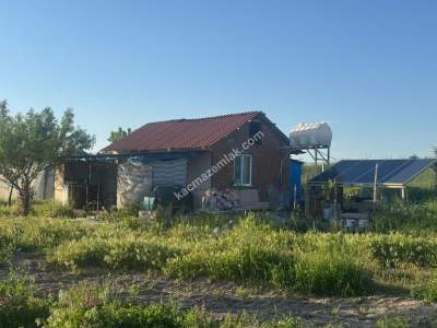 Merkez Avcılı Da 3.823M2 Hazır Bahçe 31