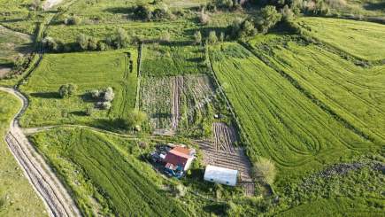 Merkez Avcılı Da 3.823M2 Hazır Bahçe 2