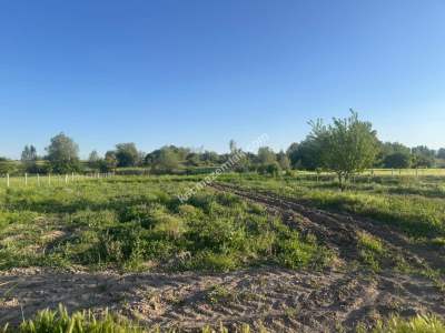 Merkez Avcılı Da 3.823M2 Hazır Bahçe 26