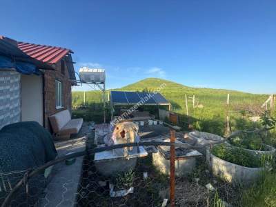 Merkez Avcılı Da 3.823M2 Hazır Bahçe 24