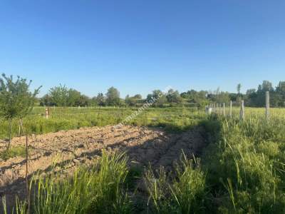 Merkez Avcılı Da 3.823M2 Hazır Bahçe 25